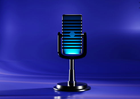 Voice Search Queries