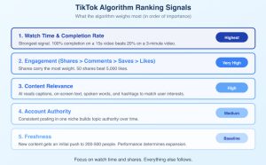 TikTok’s For You Page (FYP)